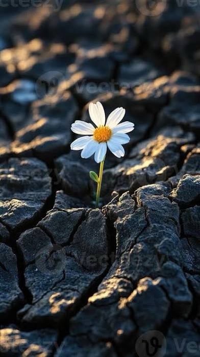 When You Want to Be Understood but Choose Peace&nbsp;Instead